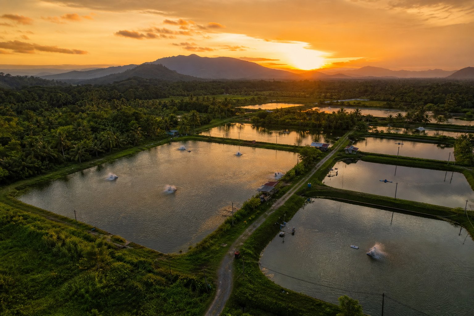 Ladang ikan air tawar MAA Aquafarm